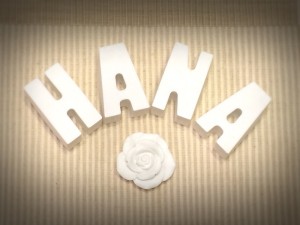 IMG_3088